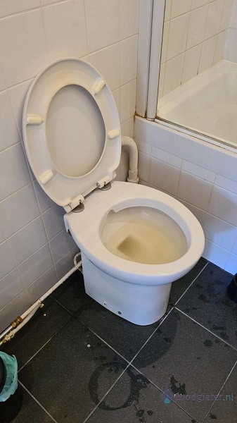  verstopping toilet Rijsenhout